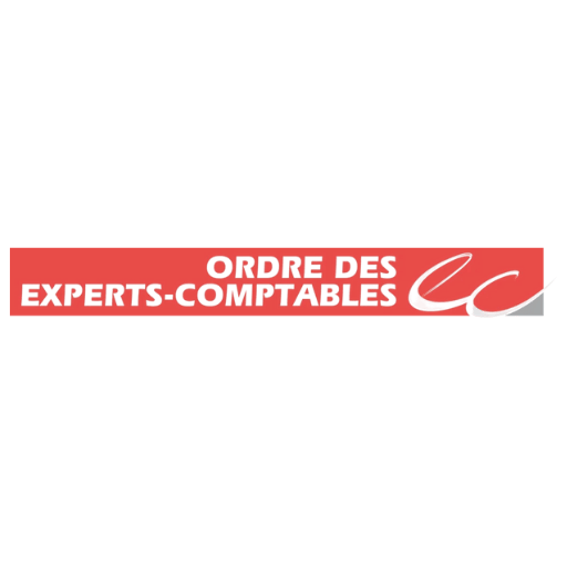 Logo 13